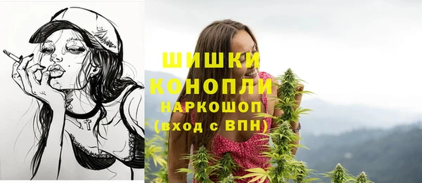 PSILOCYBIN Абдулино