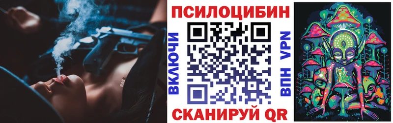 Псилоцибиновые грибы Psilocybe  МЕГА ТОР  Шарья 